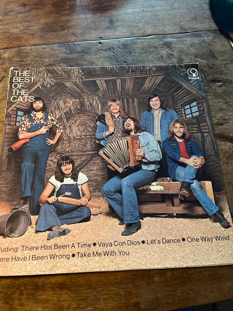 The Best of The Cats Vinyl LP - Pop Rock Klassieker, Ophalen of Verzenden, 1970 - 1979, Gebruikt, 12 inch