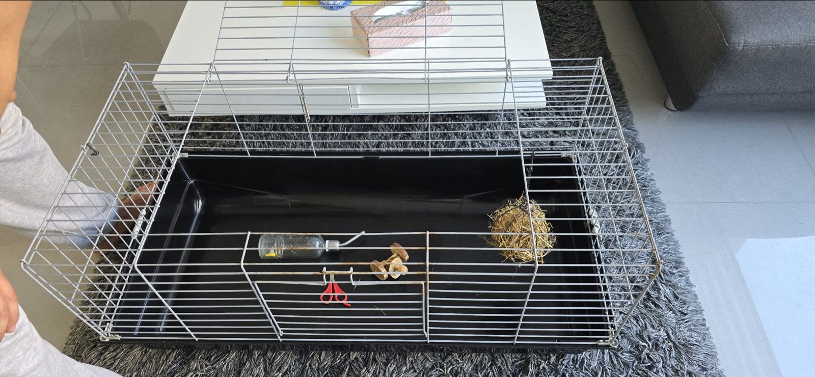 Hok voor knaagdieren, Dieren en Toebehoren, Knaagdieren en Konijnen | Hokken en Kooien, Kooi, Gebruikt, 75 tot 110 cm, Cavia