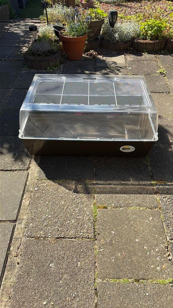 Kooi, Kooi, Minder dan 75 cm, Zo goed als nieuw, Ophalen