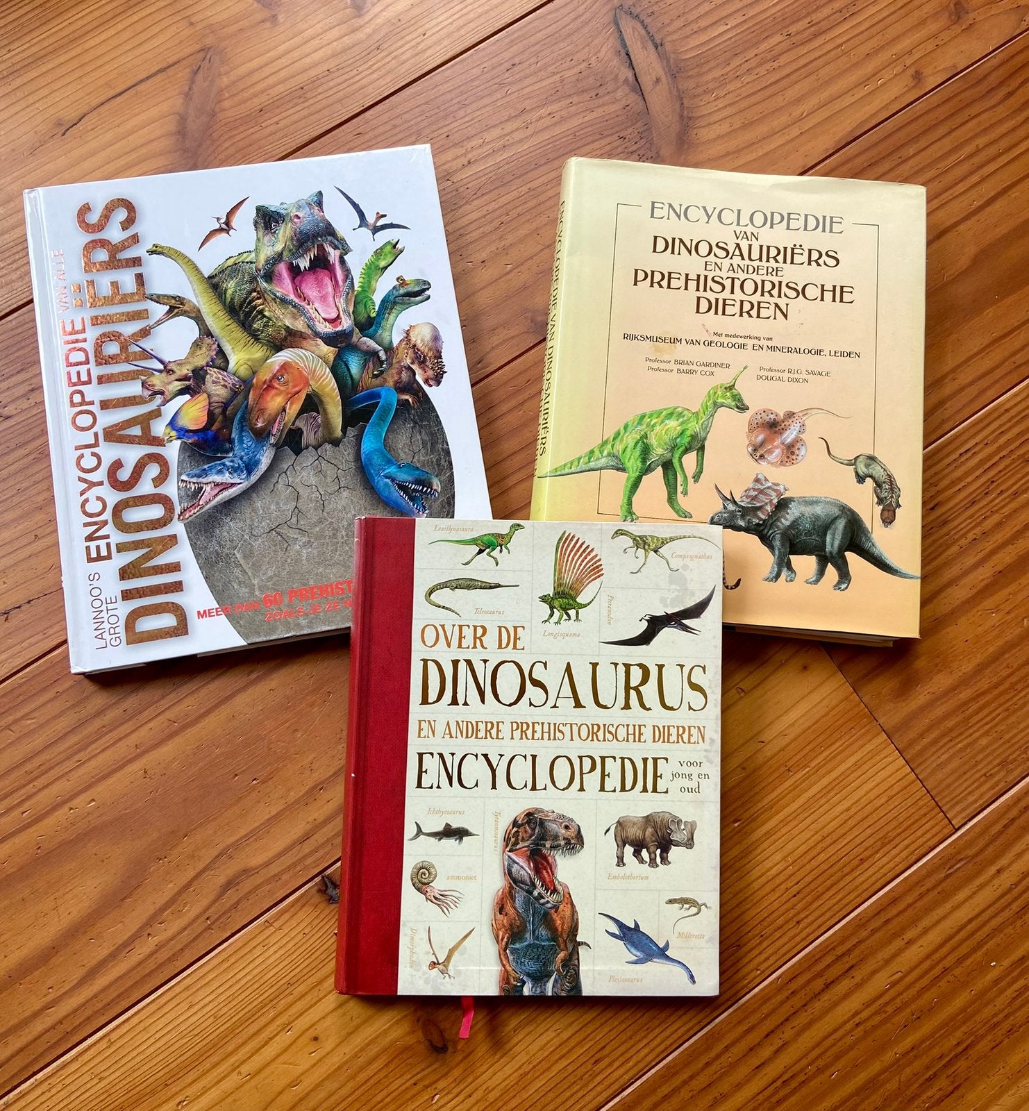 Drie mooie, dikke en gedetailleerde dino-boeken, Boeken, Ophalen, Gelezen, Non-fictie