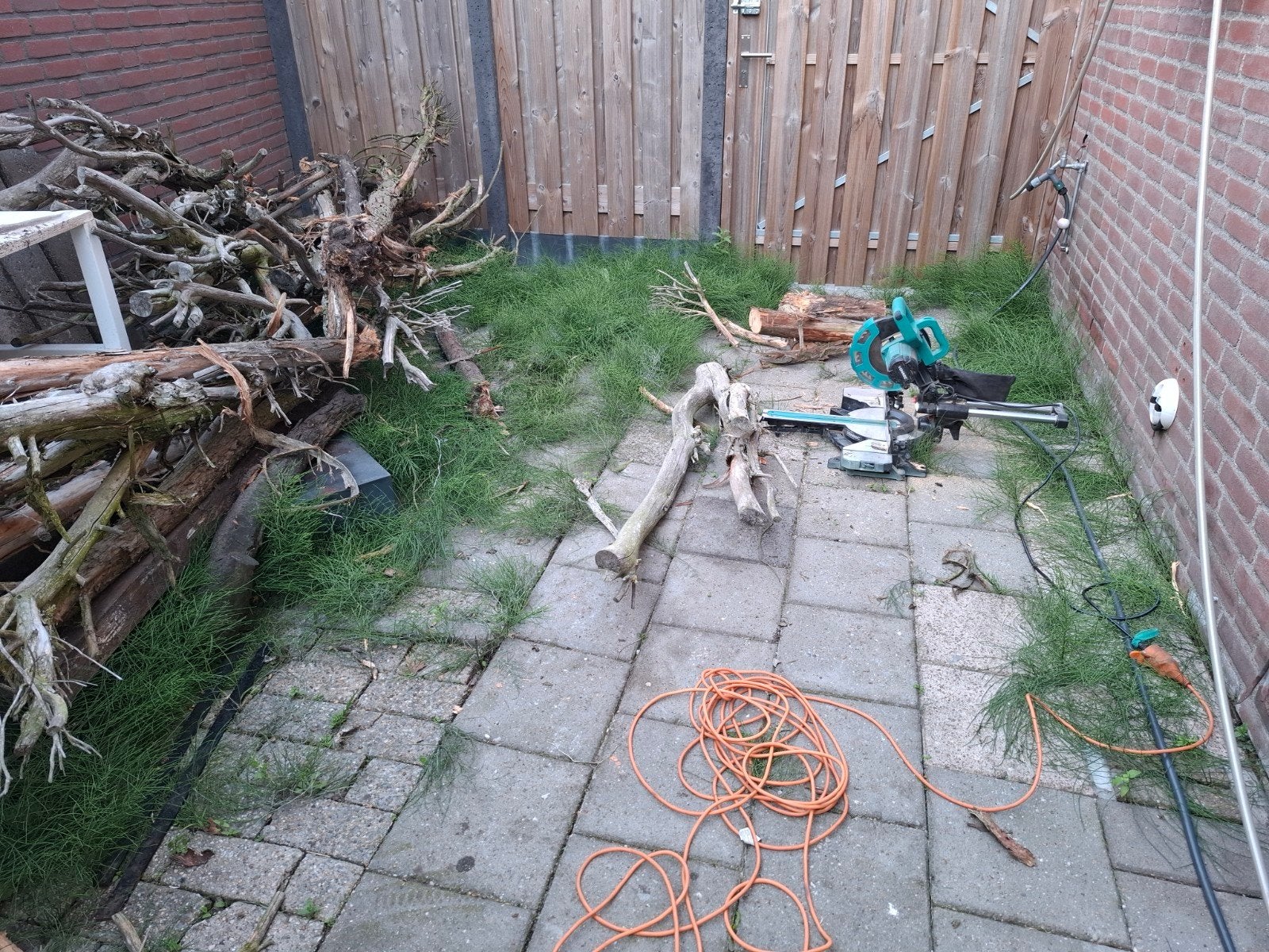 Gratis haard hout, Ophalen of Verzenden