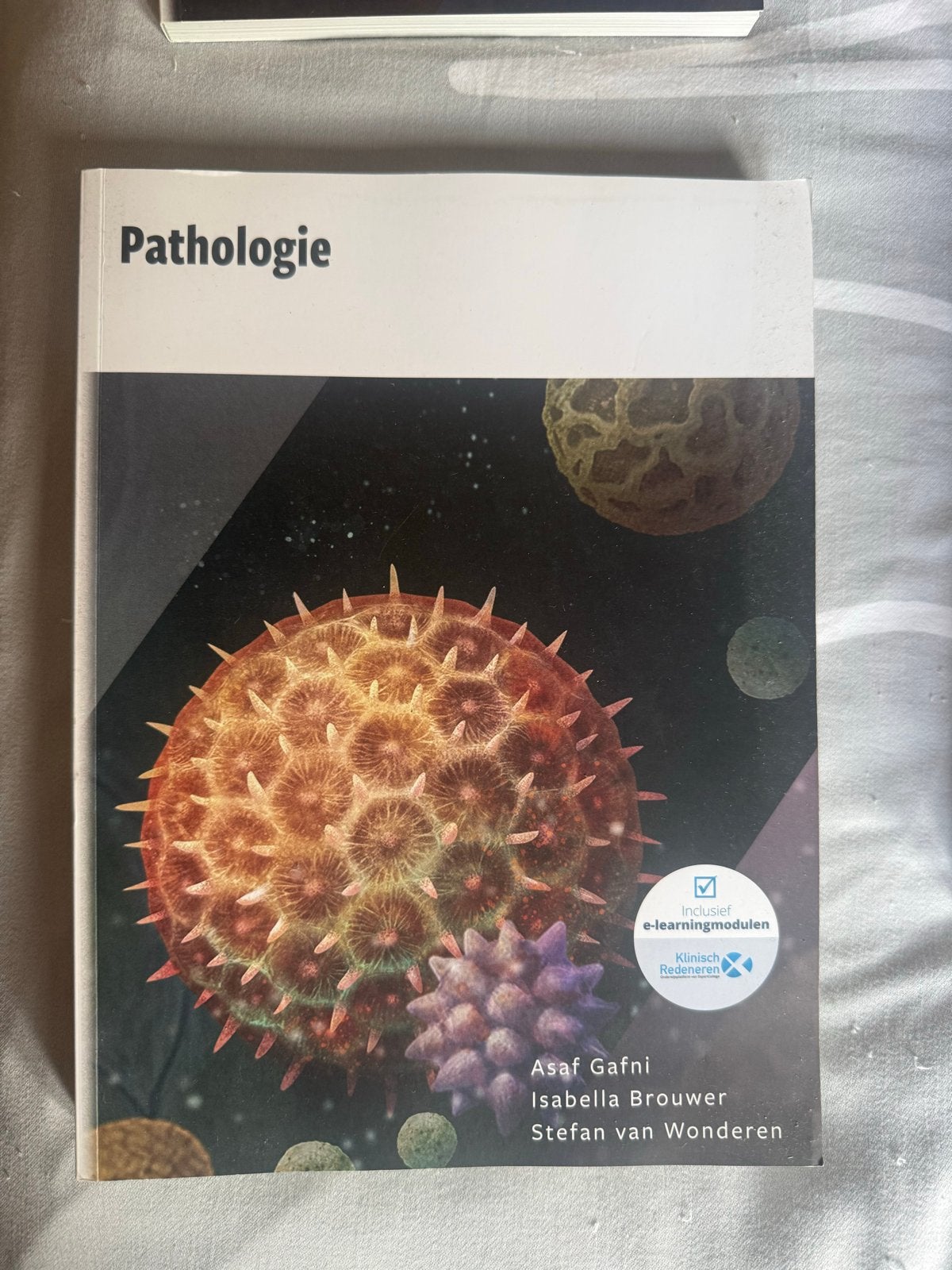 Pathologie - Asaf Gafni, Isabella Brouwer, Stefan van Wonder, Boeken, Ophalen of Verzenden, Beta, Zo goed als nieuw, HBO