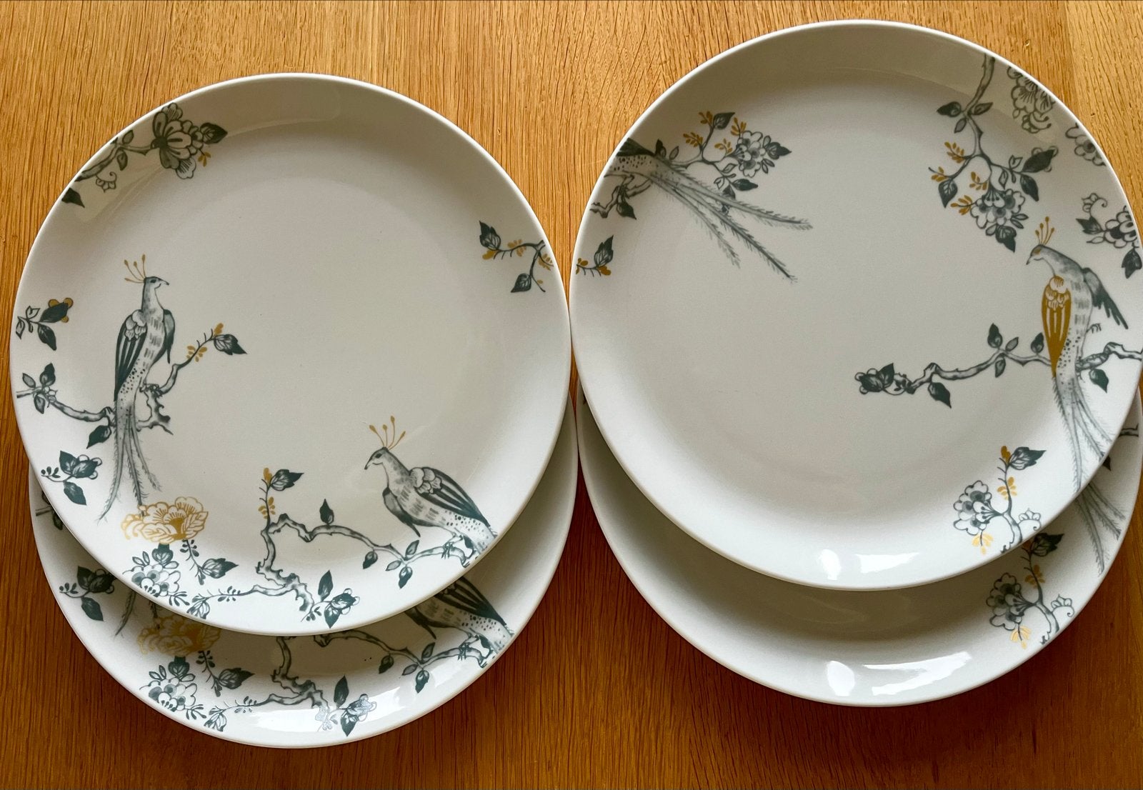 Nieuwe VIVO/ Villeroy&Boch dinerborden met vogelprint - 27cm, Vivo, Nieuw, Ophalen of Verzenden, Bord(en)