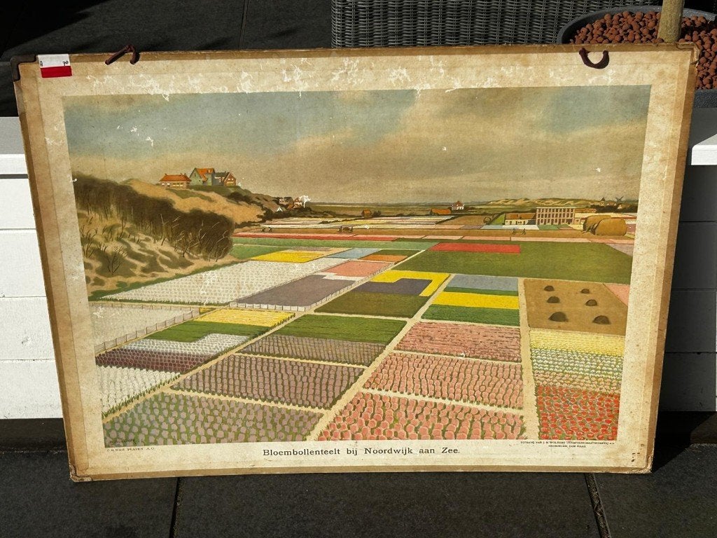 Bloembollenteelt bij Noordwijk aan Zee, Ophalen of Verzenden, Aardrijkskunde