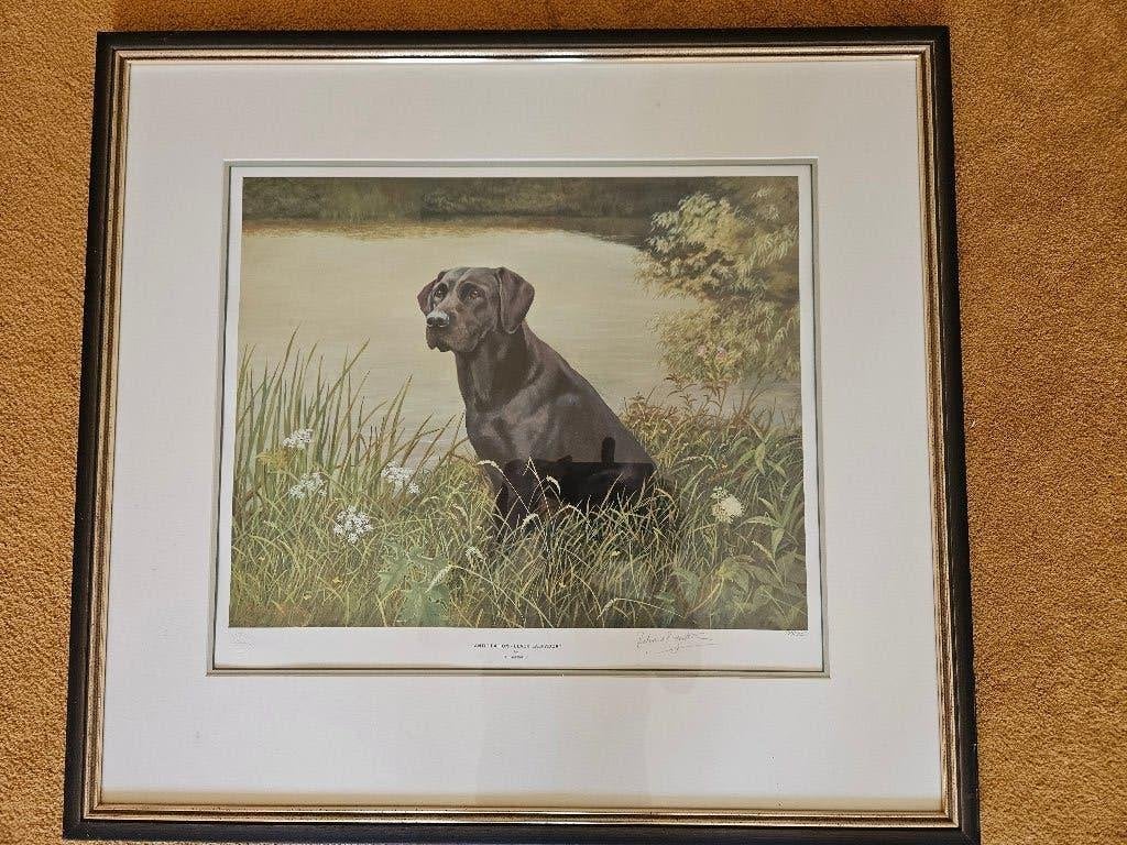 R. Britton ANTICIPATION zwarte labrador gelimiteerd IN LIJST, Ophalen, Realistisch, Ingelijst, Dieren