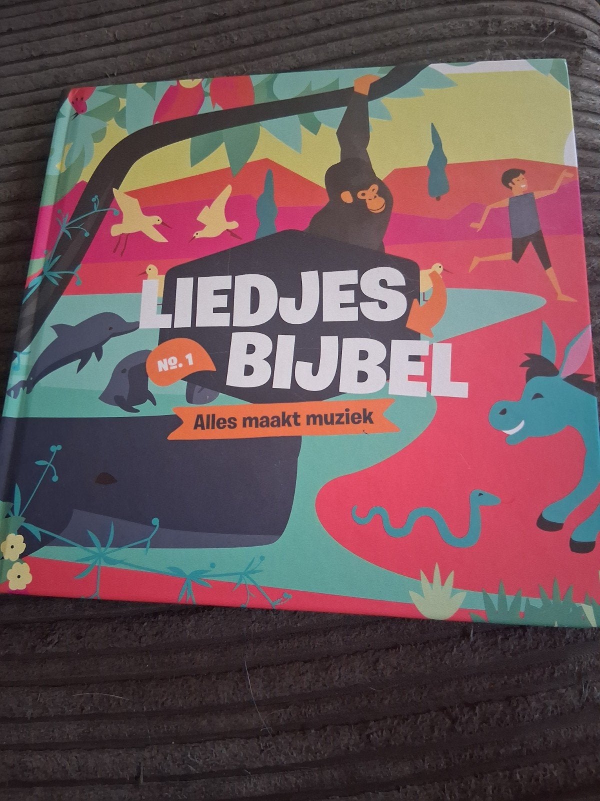Reinier Sonneveld - Liedjesbijbel Nr. 1, Fictie algemeen, Reinier Sonneveld, Ophalen of Verzenden, Zo goed als nieuw