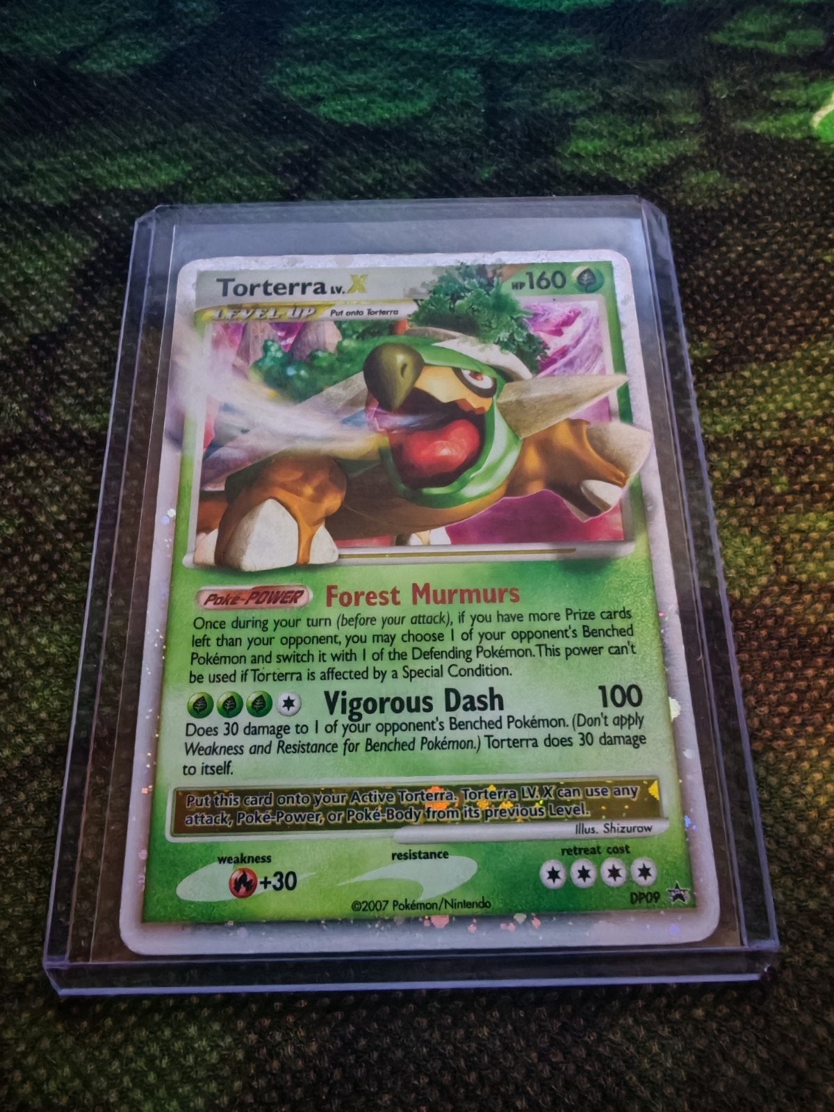 Torterra DP09, Ophalen of Verzenden, Zo goed als nieuw, Losse kaart