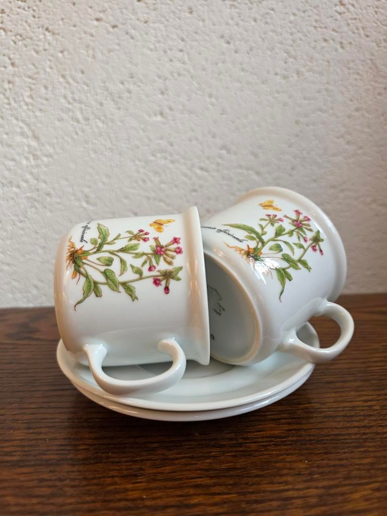 Kronester Bavaria kop en schotel - Pulmonaria Officinalis, Ophalen of Verzenden, Zo goed als nieuw, Overige stijlen, Kop(pen) en/of Schotel(s)
