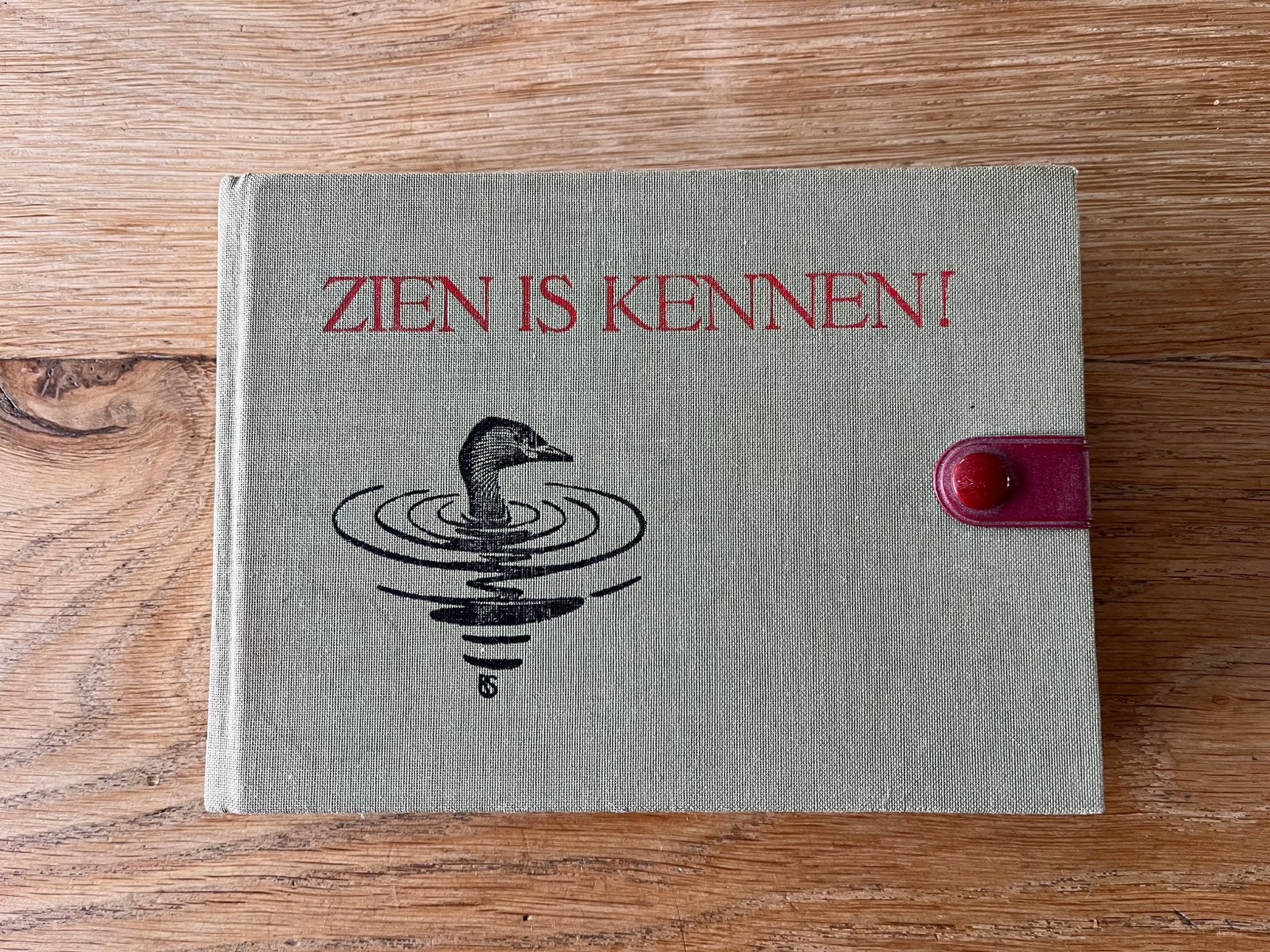 Zien is kennen met illustraties van Rein Stuurman, Ophalen of Verzenden, Gelezen, Vogels