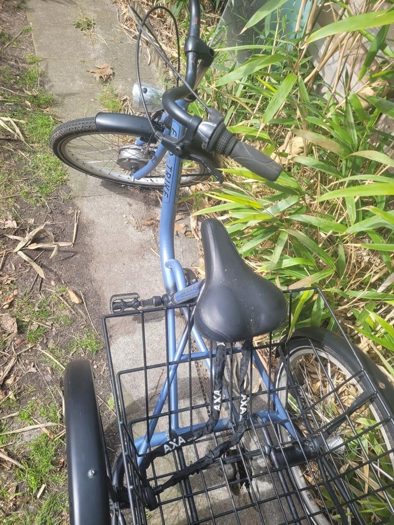 Driewieler - Eco Trike, Ophalen of Verzenden, Gebruikt, Eco Trike
