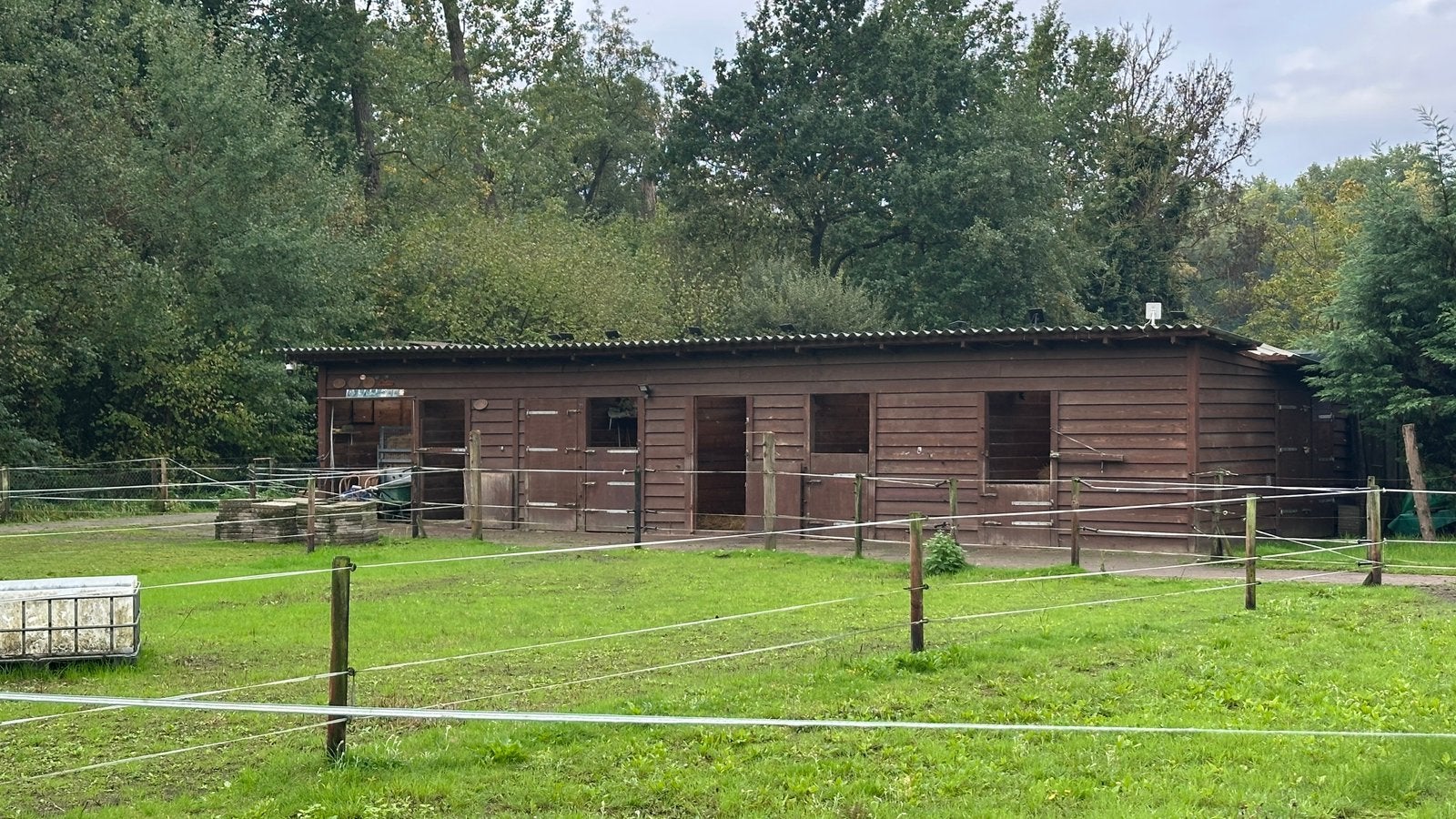Pension stalling, box vrij, Dieren en Toebehoren, Stalling
