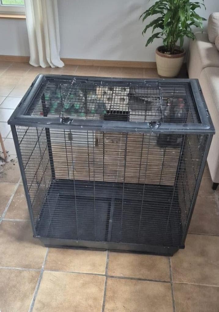Vogels kooi xxl, Ophalen of Verzenden, Zo goed als nieuw, Hout, Vogelkooi