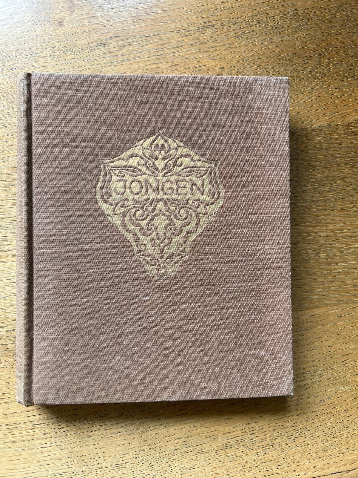 Jongen: Bladzijden uit een levensboek - M.M. Stiemens-Hopman, Ophalen of Verzenden, Gelezen, Nederland