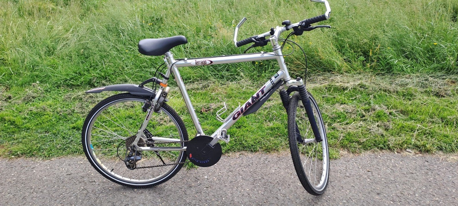 Mountainbike Giant Terrago Grijs, Ophalen, Gebruikt, 26 inch, Giant
