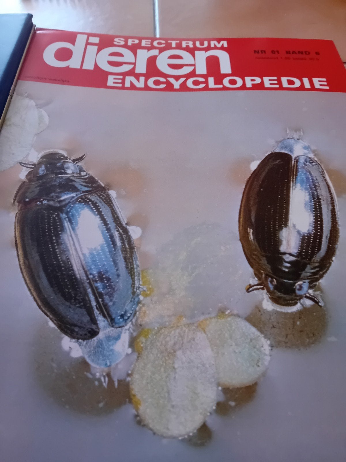 Spectrum Dieren Encyclopedie - 1 tot 7, Boeken, Encyclopedieën, Complete serie, Nieuw, Dieren, Ophalen
