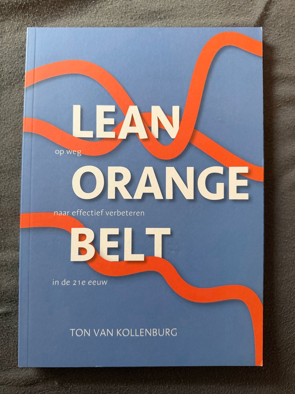 Lean Orange Belt boek Ton van Kollenburg (nieuw), Ophalen, Gamma, Nieuw, Overige niveaus