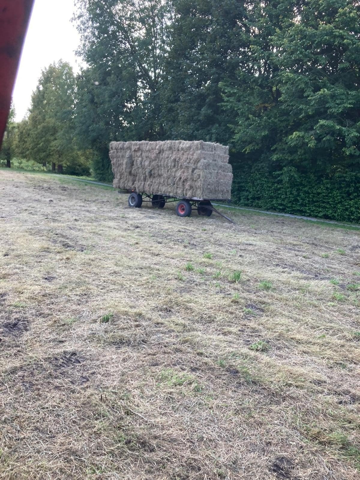 kleine pakjes hooi te koop., Ophalen of Verzenden, Vee