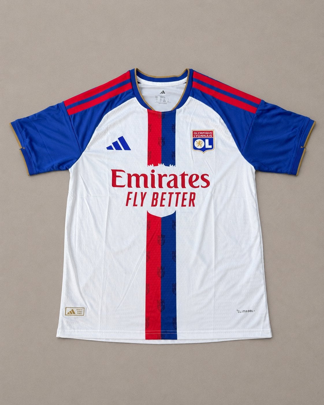 Olympique Lyonnais voetbalshirt wit/blauw maat XL, Sport en Fitness, Voetbal, Maat XS of kleiner, Ophalen of Verzenden, Zo goed als nieuw