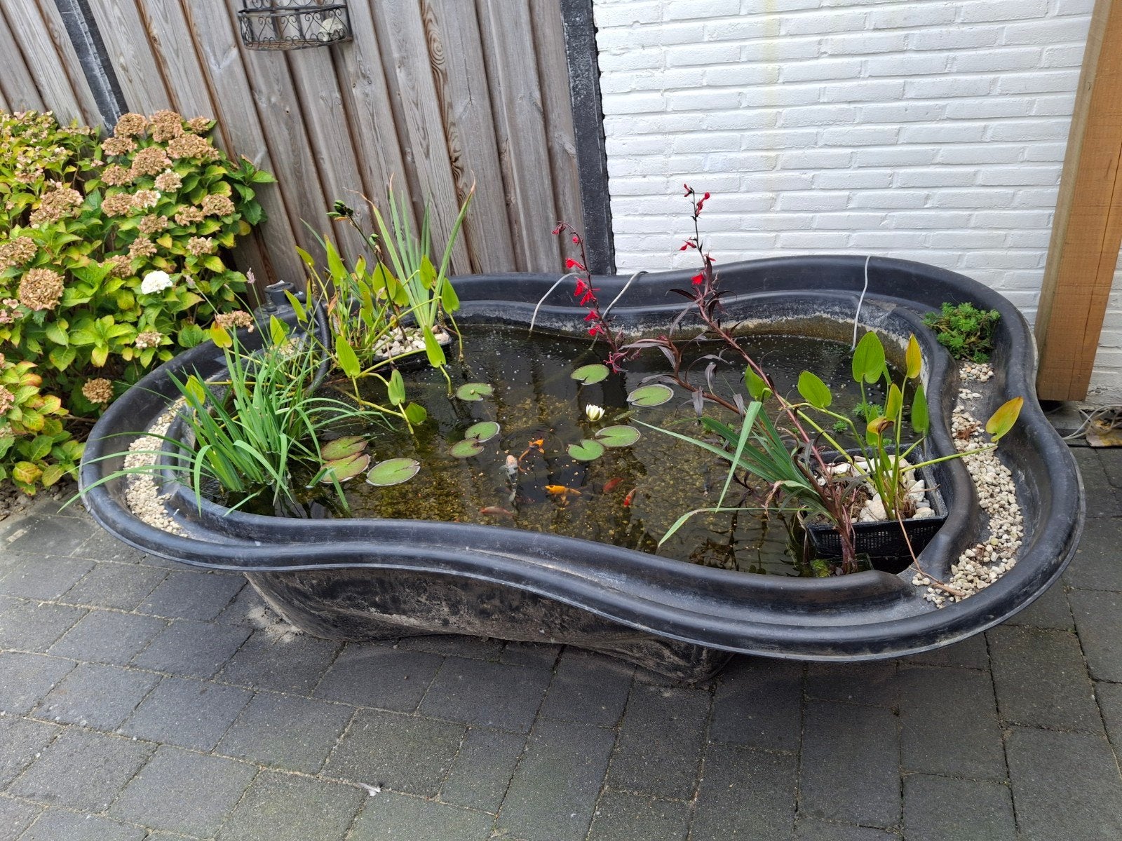vijverbak 2.50x1.70x55, Tuin en Terras, Vijvers, Ophalen