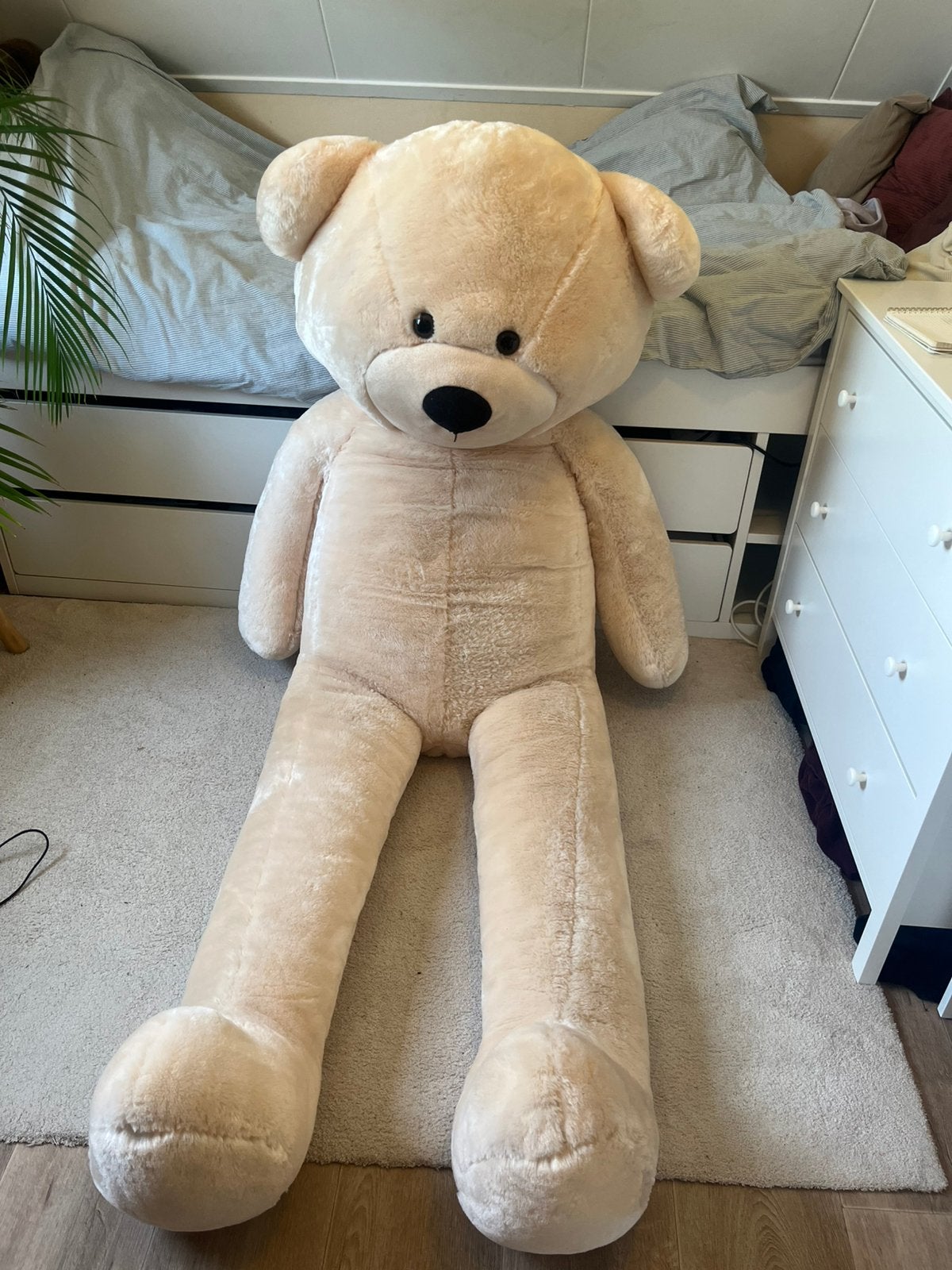 XXL teddybeer 2 meter, Ophalen, Zo goed als nieuw, Beer