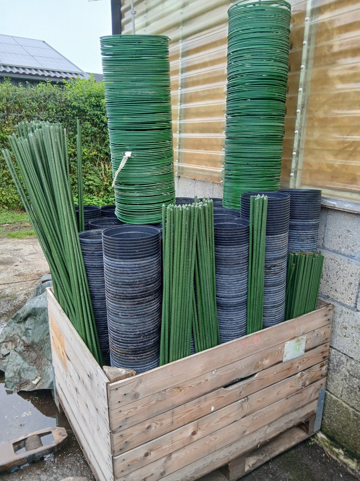 Kweekpotten, plantenstokken, ringen en clips, Ophalen, Zo goed als nieuw, Kunststof, 70 cm of meer