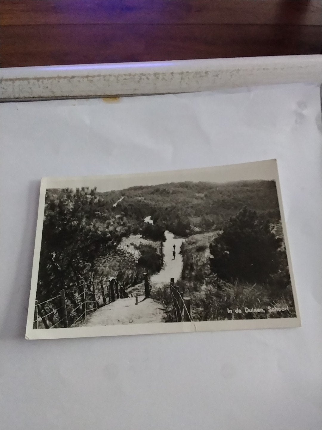 Oude ansichtkaart: In de Duinen, Schoorl (1955), Ophalen of Verzenden, 1940 tot 1960, Gelopen, Noord-Holland