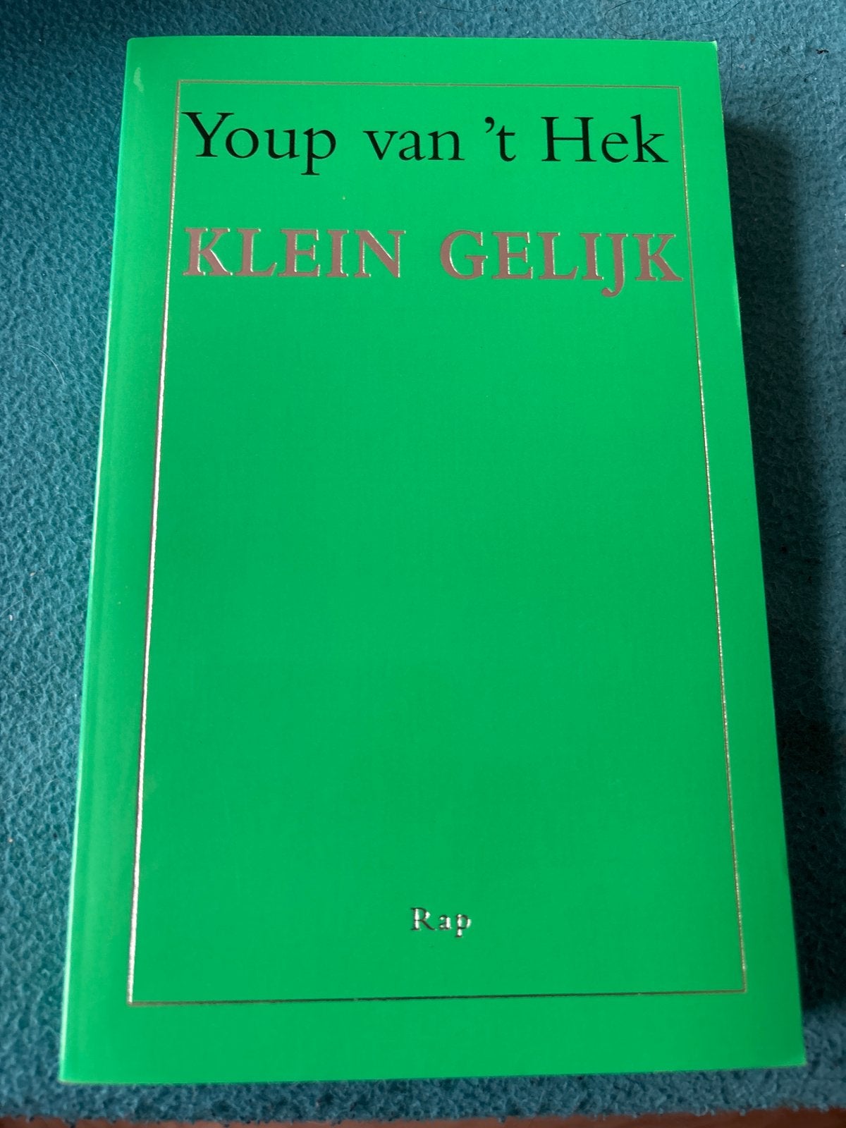 Youp van 't Hek - Klein Gelijk (Boek), Ophalen of Verzenden, Zo goed als nieuw, Anekdotes en Observaties