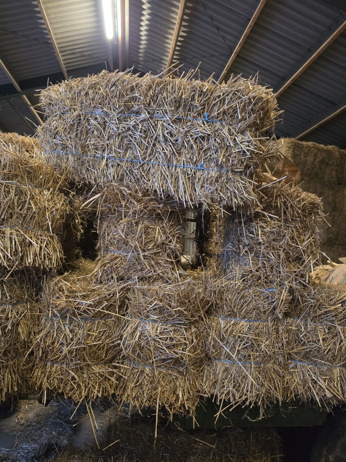 35x pakken tarwestro, Dieren en Toebehoren, Dierenvoeding, Ophalen, Vee