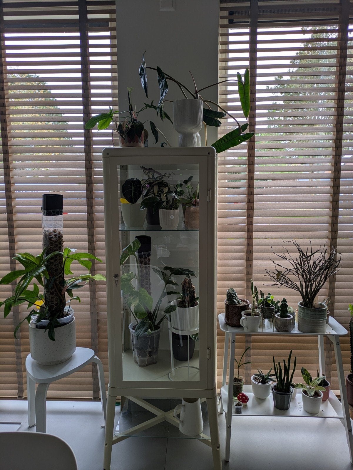 Ikea Fabrikör-perfect voor planten of verzameling, Huis en Inrichting, Kasten | Vitrinekasten, Ophalen, 100 tot 150 cm, Industrieel, Modern