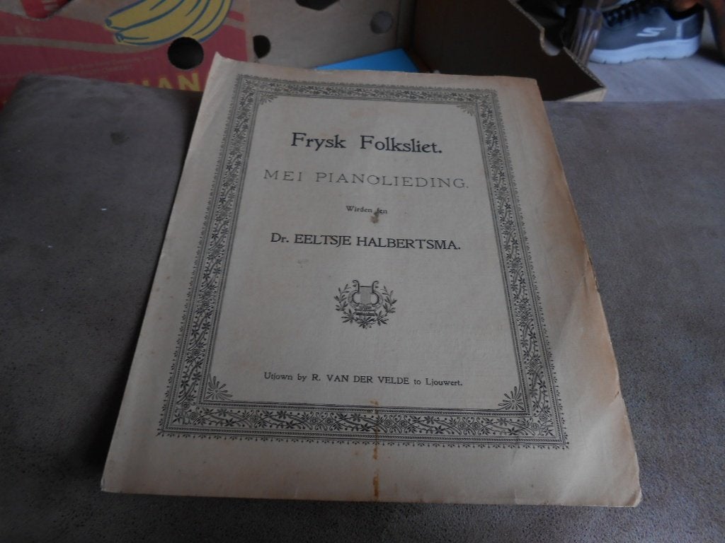 FRYSK FOLKSLIET  MEI PIANOLIEDING, Gebruikt, Overige genres, Ophalen of Verzenden, Artiest of Componist