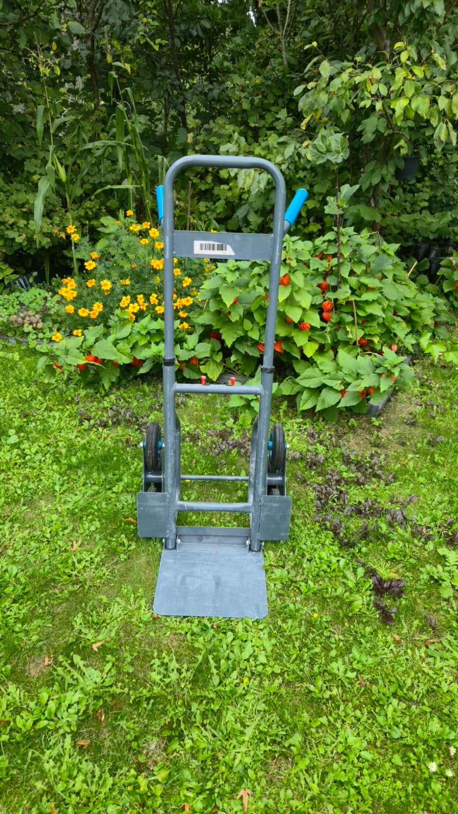 Steekwagen met trapfunctie - Gebruikt, Ophalen, Zo goed als nieuw, Steekwagen