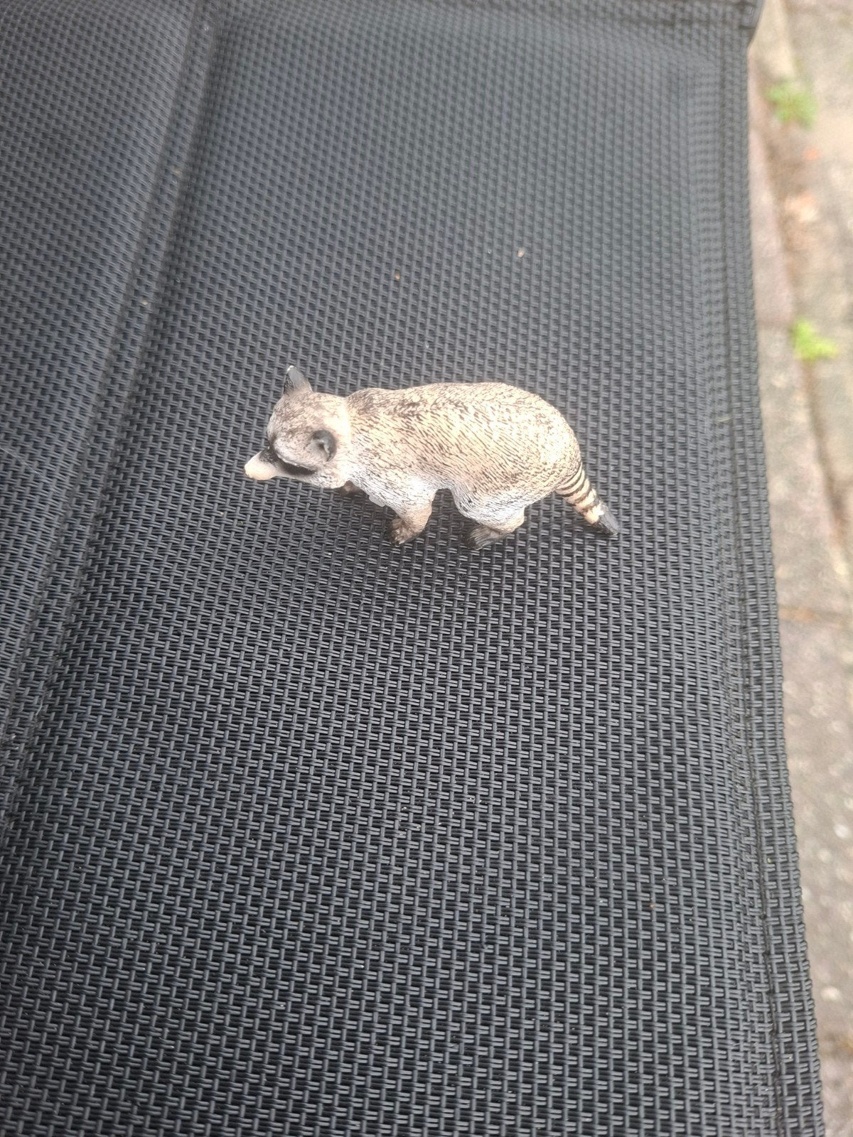 Schleich wasbeer, Verzamelen, Dierenverzamelingen, Ophalen, Zo goed als nieuw, Overige soorten, Beeldje of Figuurtje