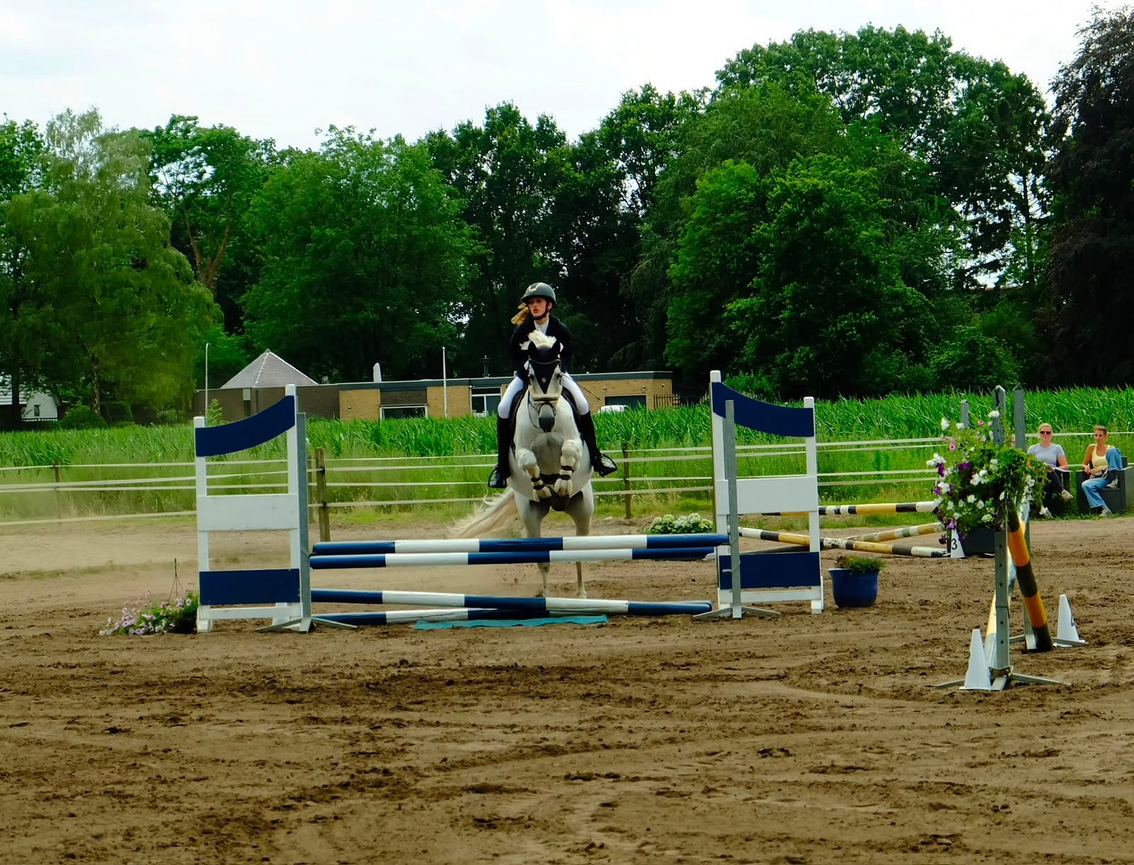 Springpaard GEZOCHT, Ophalen of Verzenden