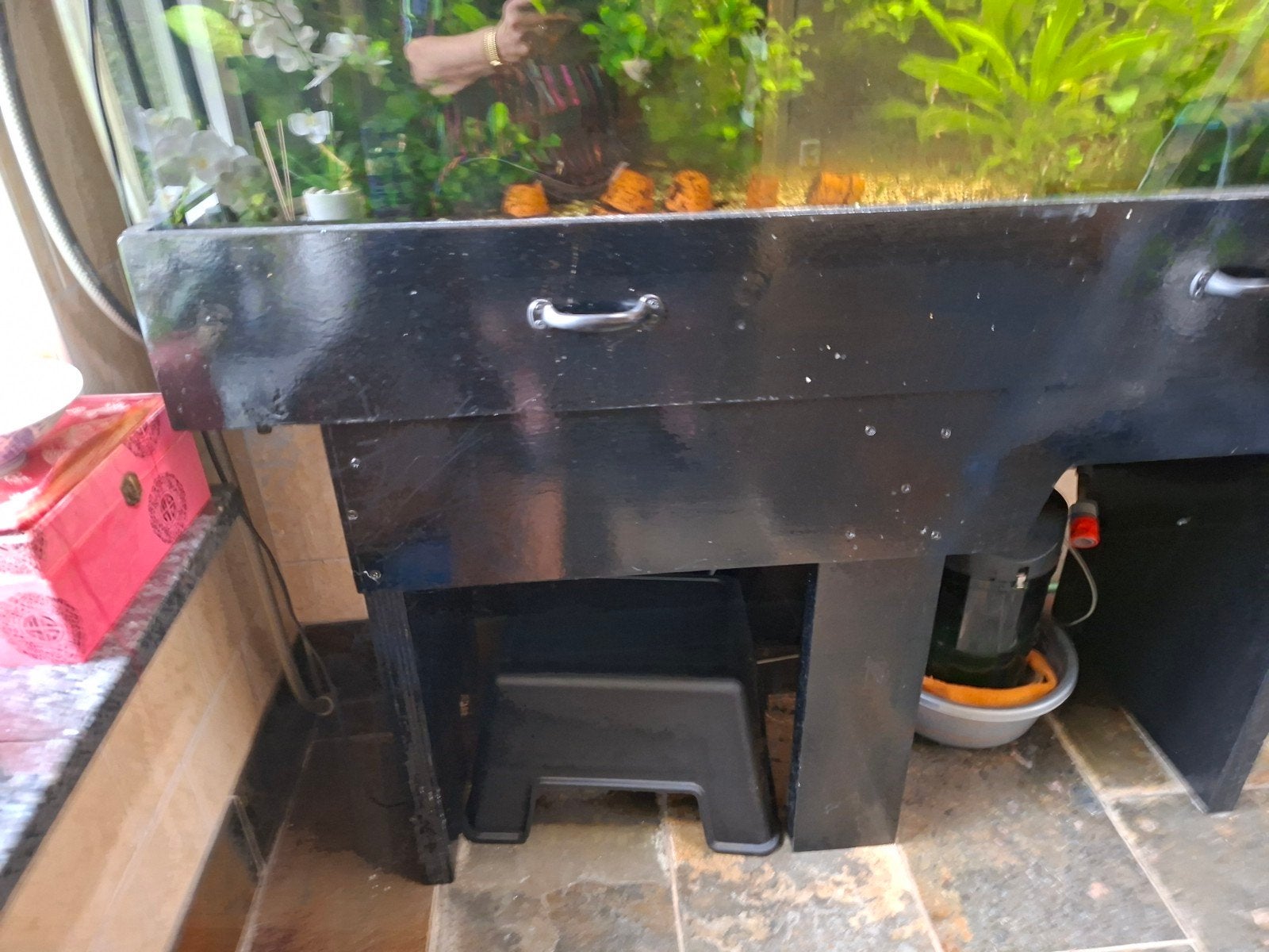 degelijk aquarium, Dieren en Toebehoren, Ophalen, Inclusief deksel, Gebruikt, Gevuld zoetwateraquarium