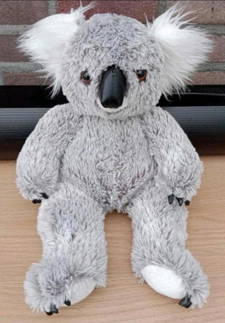 Koala beer 40cm.         Nr7, Ophalen, Beer