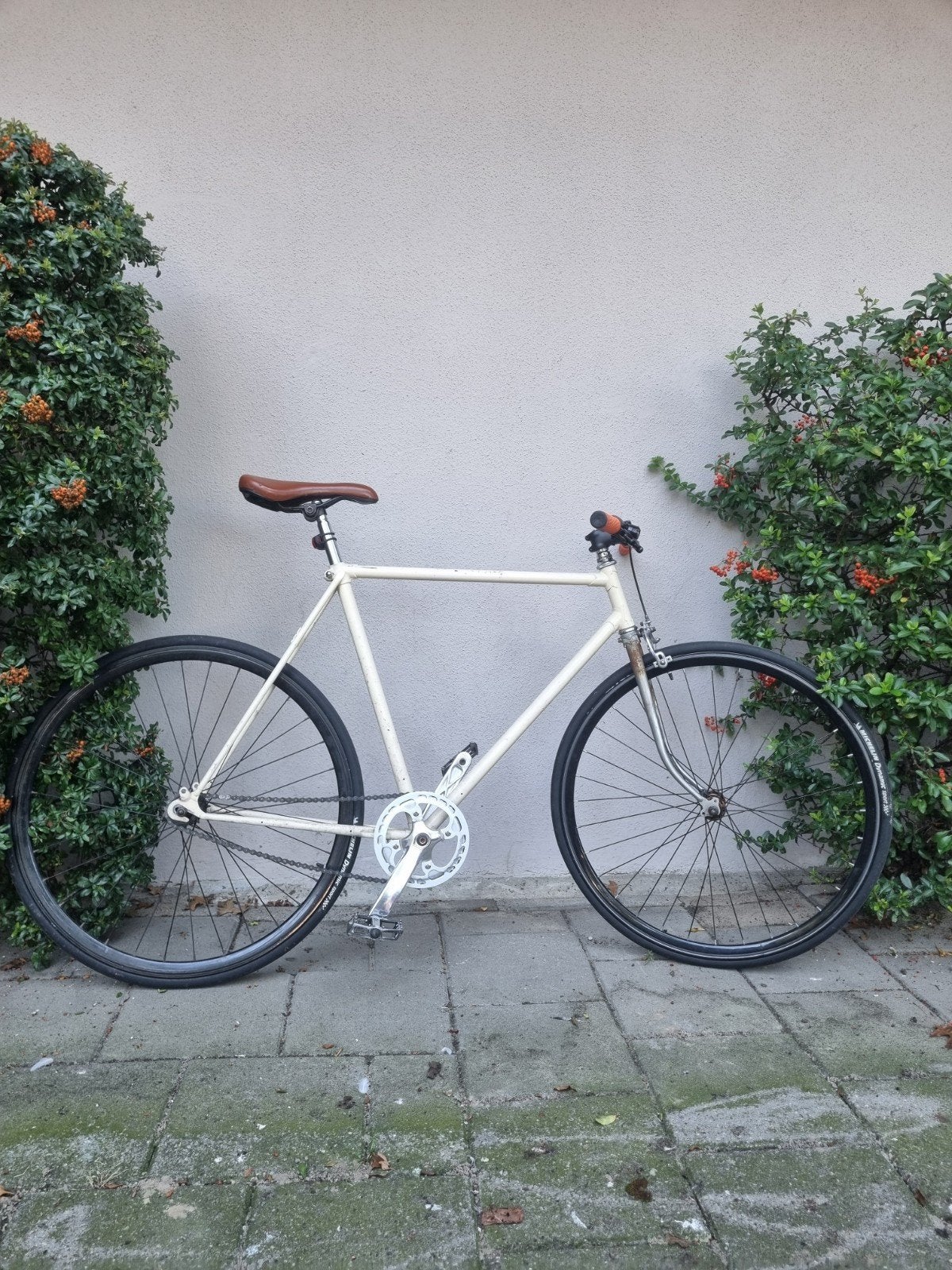 fixed gear singlespeed, Fietsen en Brommers, Ophalen, Gebruikt, Minder dan 10 versnellingen, Overige merken