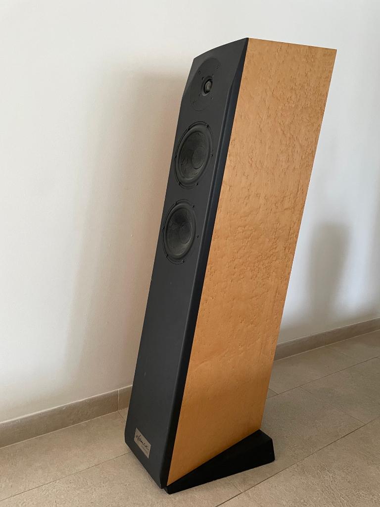 Audiodata Elance II – High-End Vloerstaande Luidsprekers, Audio, Tv en Foto, Luidsprekers, Zo goed als nieuw, Front, Rear of Stereo speakers