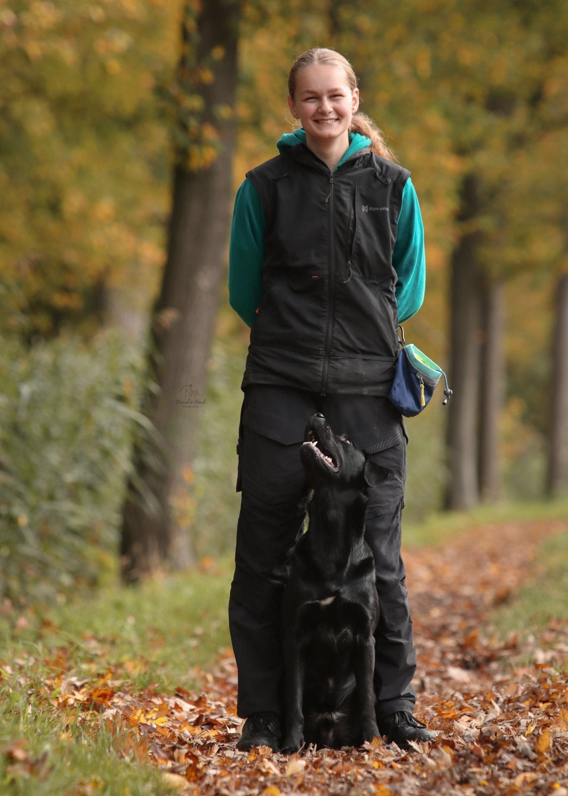 Honden uitlater/ trainer, Dieren en Toebehoren, Ophalen