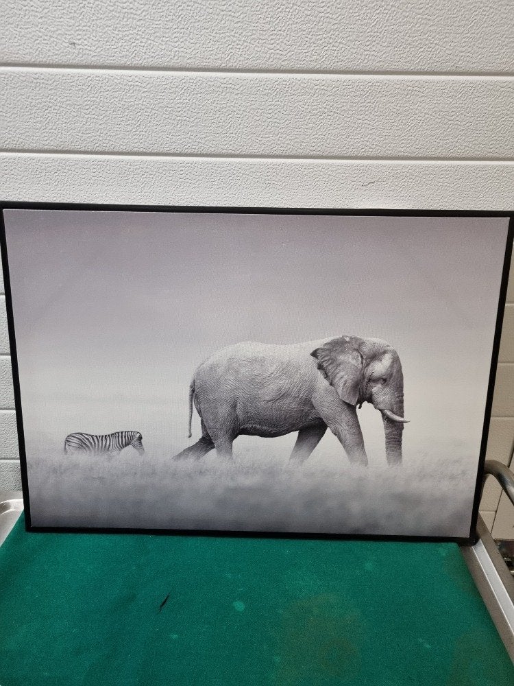 schilderij fotodoek zebra en olifant in zwarte lijst, Ophalen of Verzenden, 'T Olde Gre-j, Info@toldegrej.nl, Endepoelstraat 20f Didam
