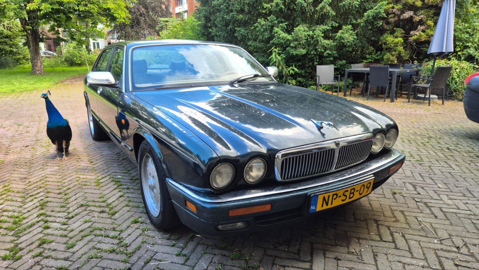 Jaguar 1996 Groen met 2 jaar apk, Auto's, Jaguar, Particulier, Benzine, Sedan, Geïmporteerd, Groen, Ophalen