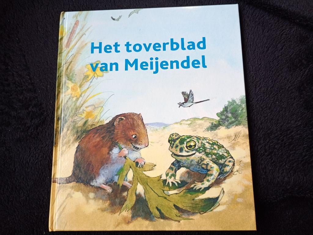 Marguerite de Ruijter, Het toverblad van Meijendal, Ophalen of Verzenden, Zo goed als nieuw, Fictie algemeen