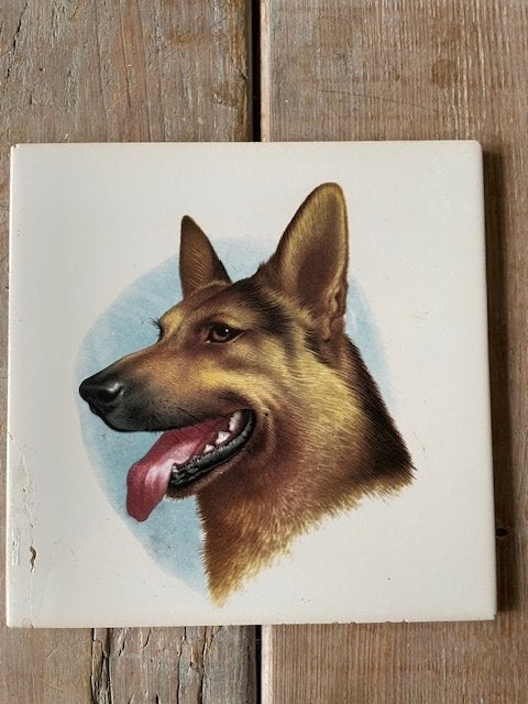 Tegeltje hond / herdershond. Mosa nederland wandtegeltje., Ophalen