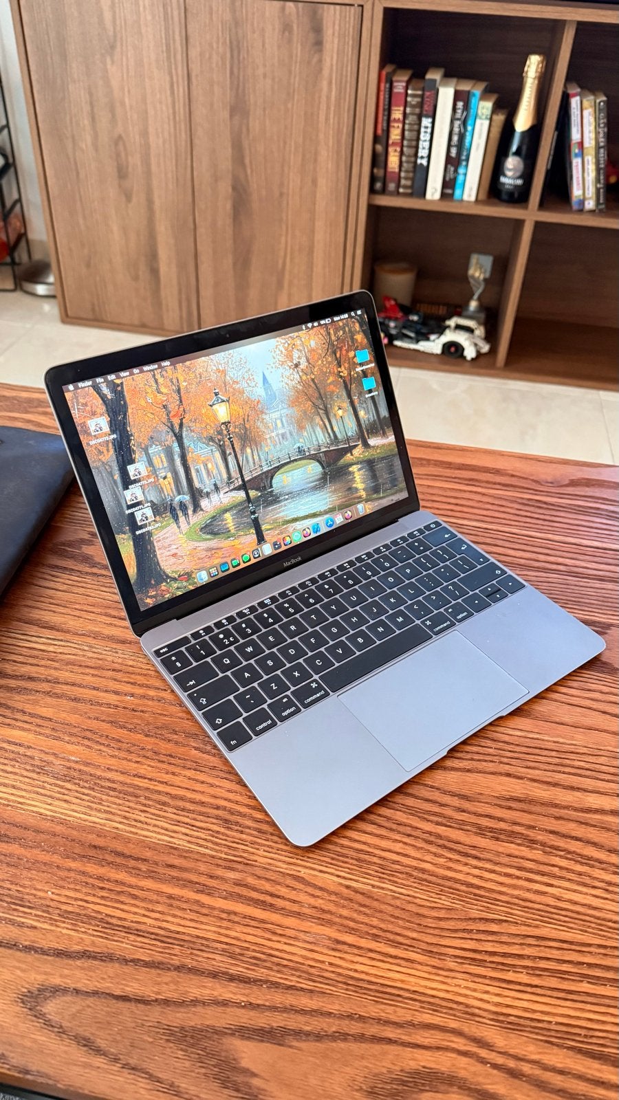Apple MacBook 13 inch met nieuwe batterij + accessoires, Computers en Software, Apple Macbooks, Ophalen, Zo goed als nieuw, 13 inch