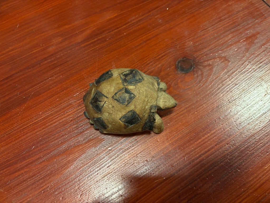 Handgesneden houten schildpad beeldje, Ophalen of Verzenden, Gebruikt, Dier