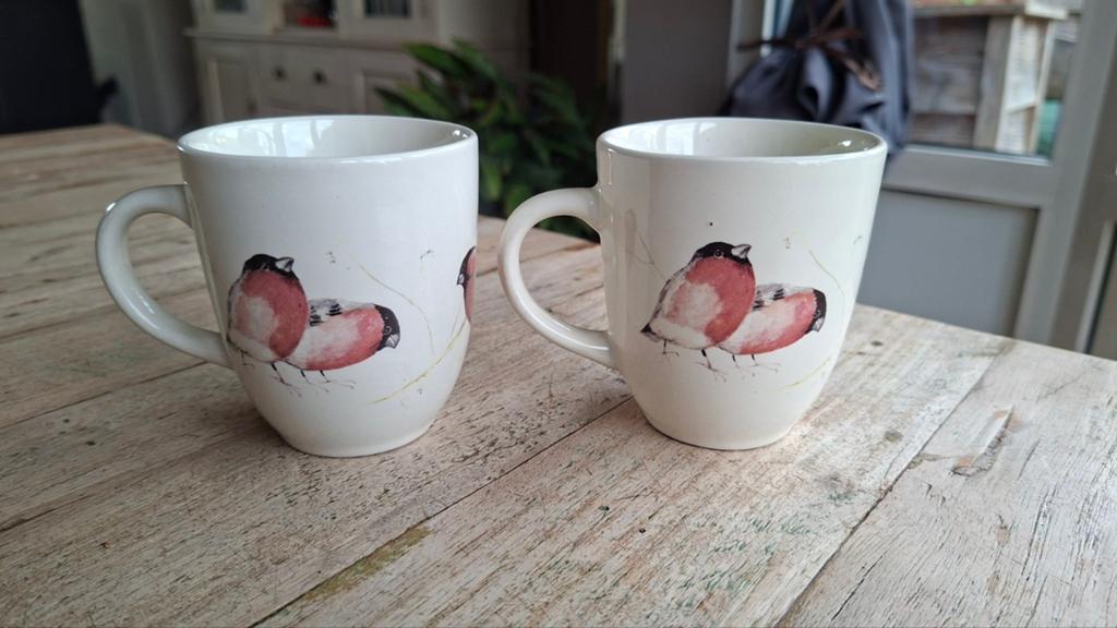Set van 2 Jet by Ter Steege mokken – Goudvink / Vogels, Keramiek, Ophalen of Verzenden, Zo goed als nieuw, Overige stijlen