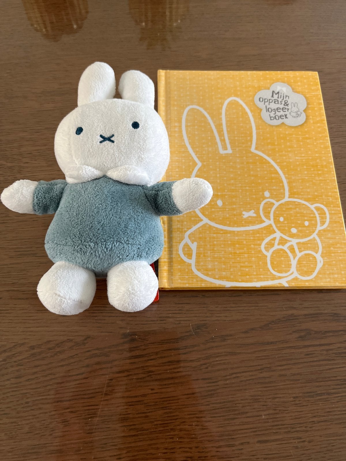 Nijntje oppas & logeerboek met knuffel, Ophalen, Nieuw, Uitklap-, Voel- of Ontdekboek, 0 tot 6 maanden