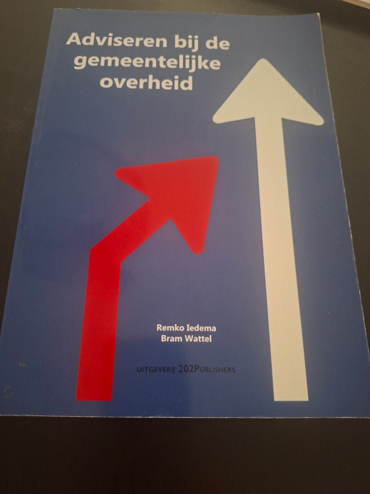 Adviseren bij de gemeentelijke overheid - 2e druk, Gelezen, Remko Iedema, Beta, HBO