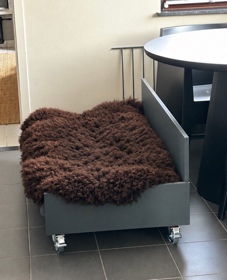 Gratis hondenbed frame, Dieren en Toebehoren, Ophalen, Zo goed als nieuw