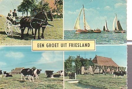 Ansichtkaart 	Friesland	4-luik	Paarden	Zeilen, Verzenden, 1940 tot 1960, Gelopen, Friesland