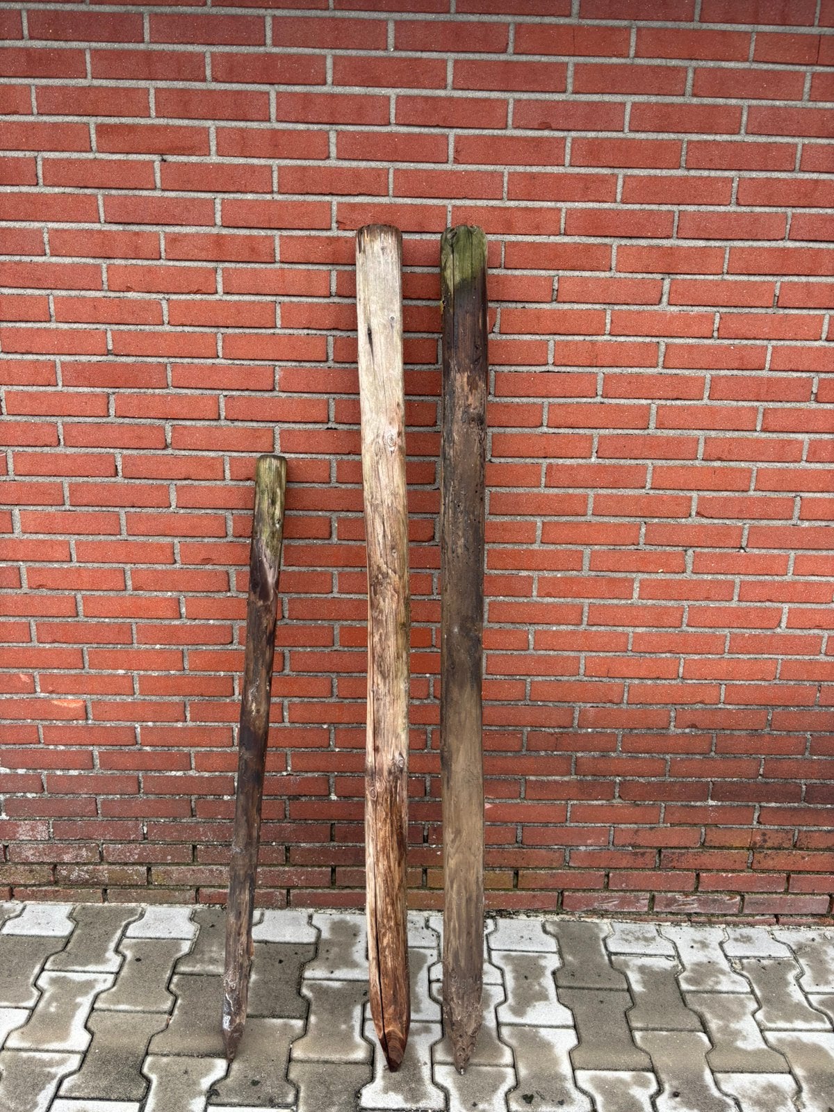 Afrastering palen weidepalen, Tuin en Terras, Palen, Balken en Planken, Ophalen, Zo goed als nieuw, Minder dan 180 cm, Palen